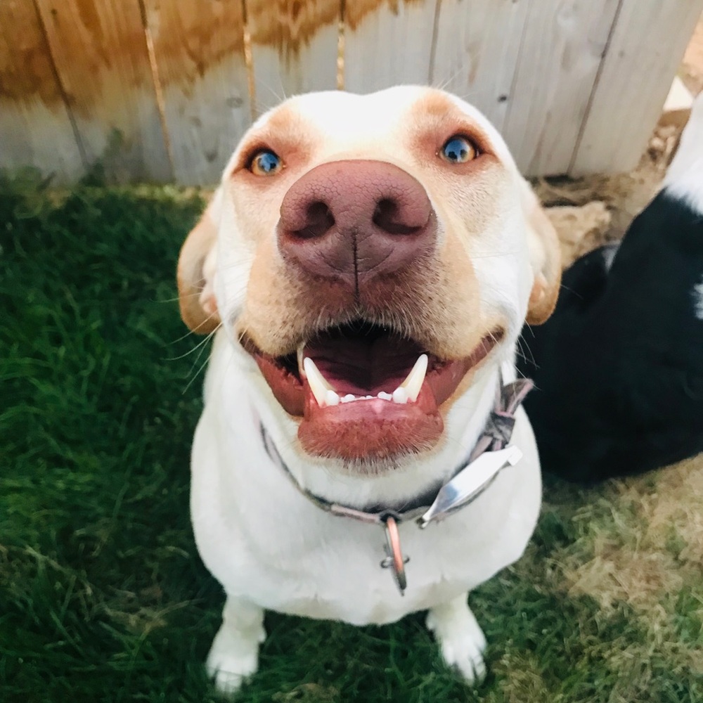 Meet your Posher, Mckenzie